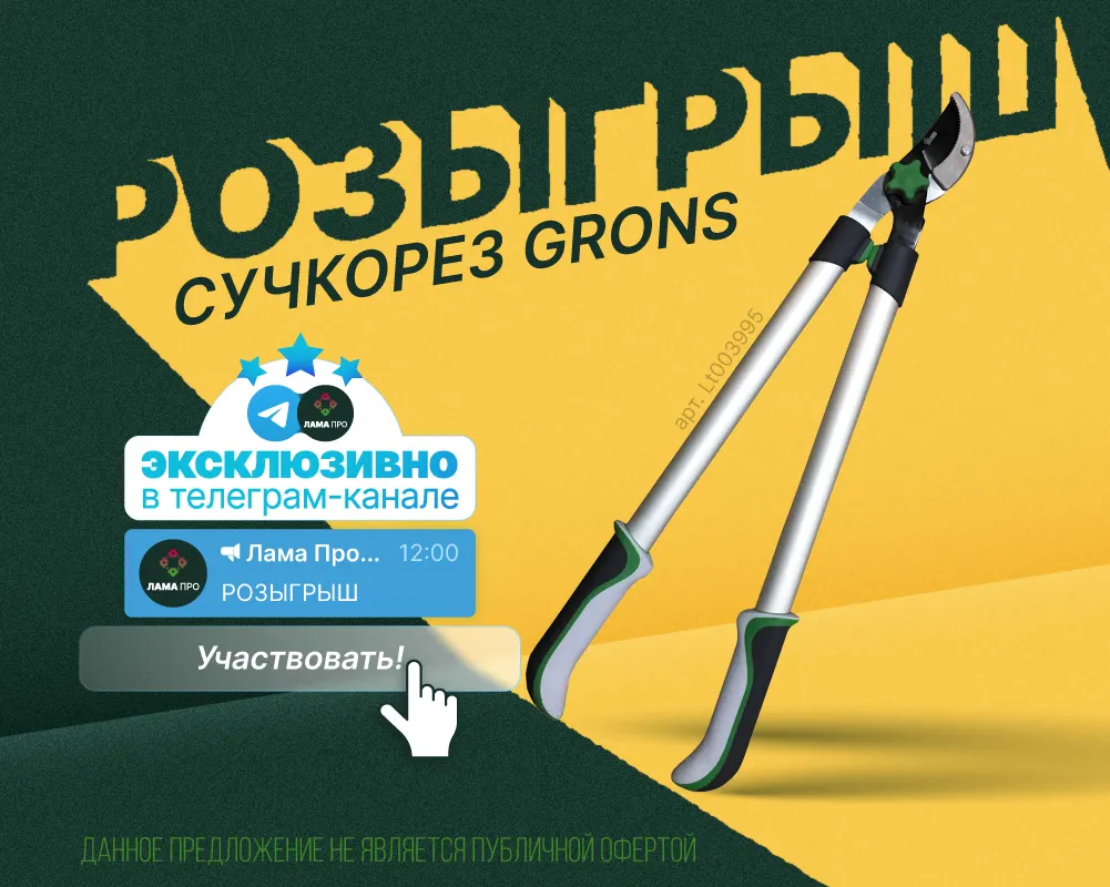 Новый розыгрыш!